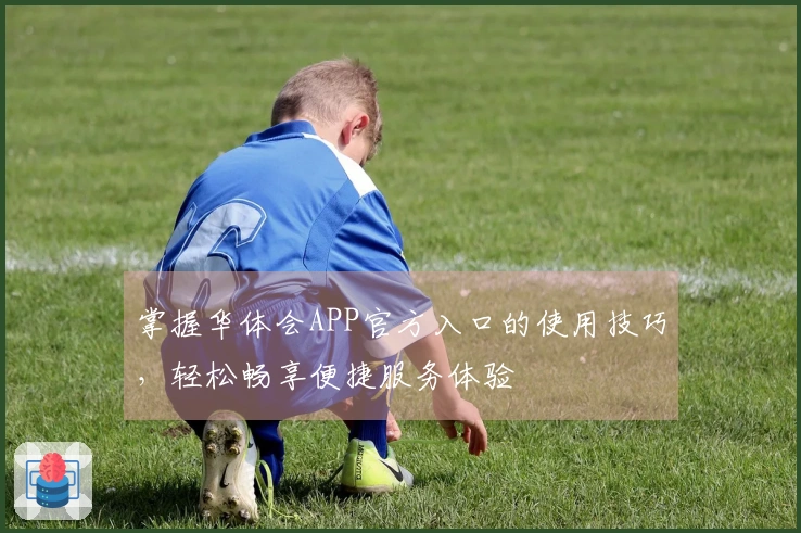 掌握华体会APP官方入口的使用技巧，轻松畅享便捷服务体验